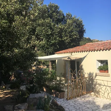 Casa Stones